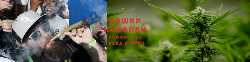 ссылка на мегу маркетплейс  Тавда  Бошки Шишки OG Kush 